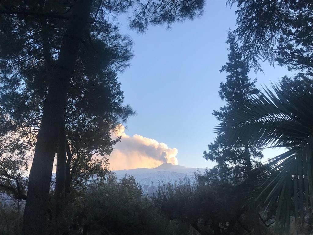 Agriturismo Sole Di Sicilia Randazzo Exteriér fotografie